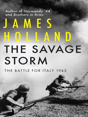 cover image of The Savage Storm